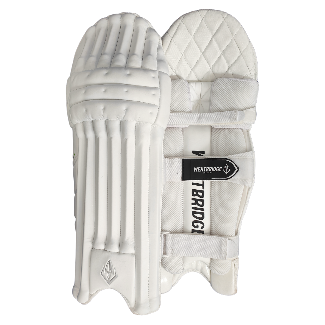 Rogue 1.0 Batting Pads