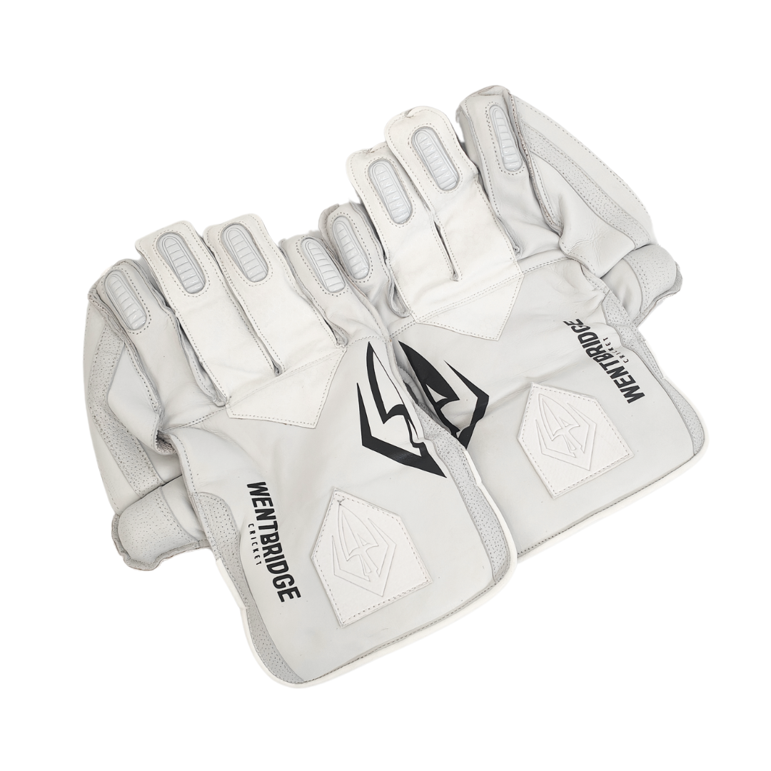 Classic Players Wicketkeeping Gloves