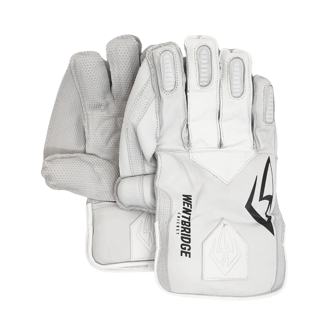 Classic Players Wicketkeeping Gloves