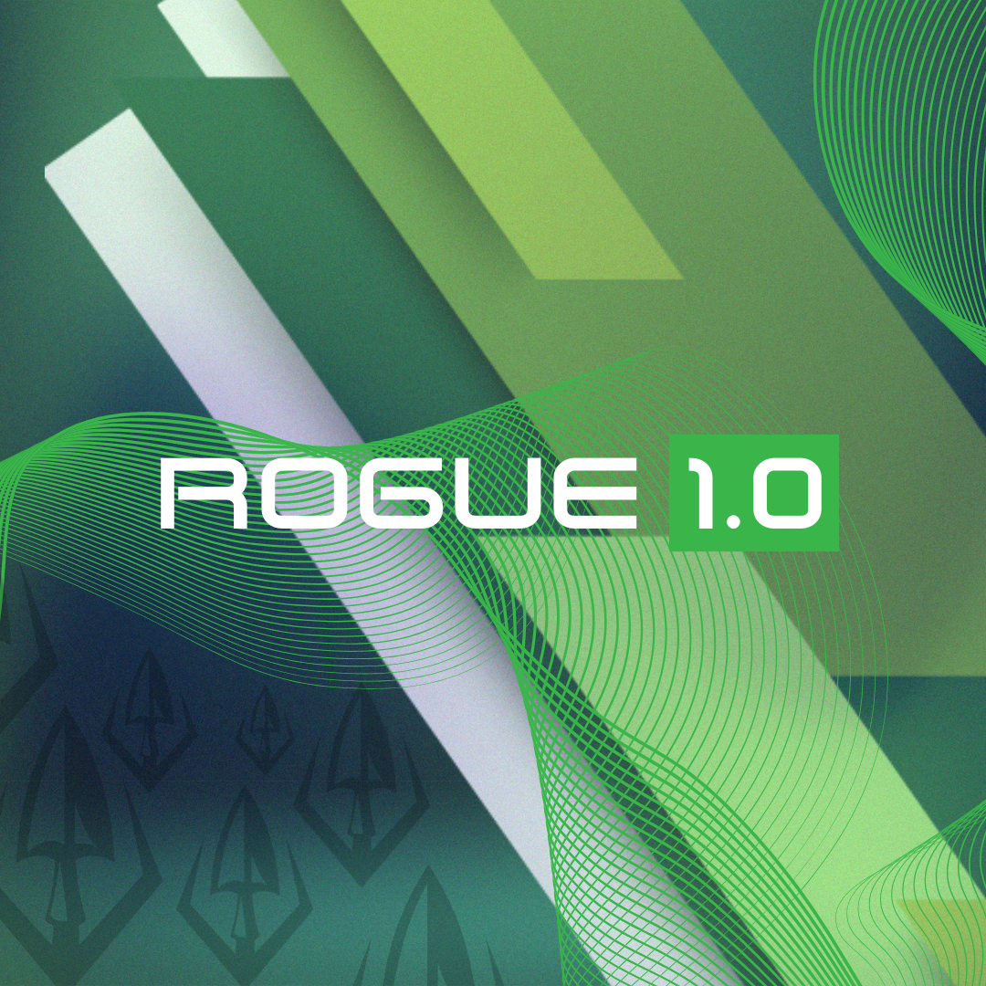 ROGUE 1.0