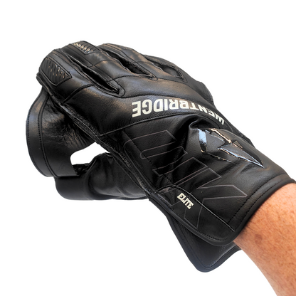 Elite Players Wicketkeeping Gloves