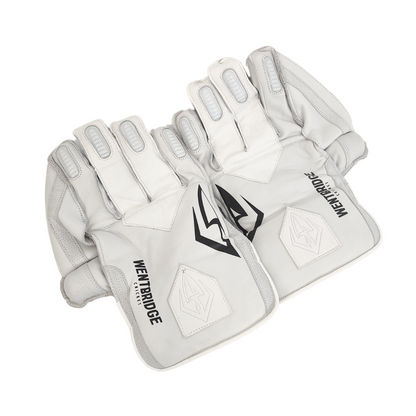 Classic Players Wicketkeeping Gloves